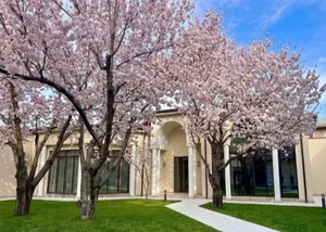 Фото 5 Дом в городе