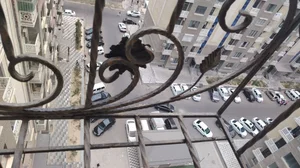 Фото 5 3-комн. квартира в Sergili IIIa dahasi