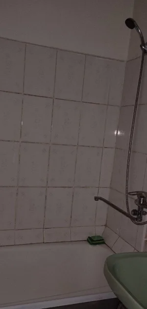 Фото 1 1-комн. квартира в Сергилях