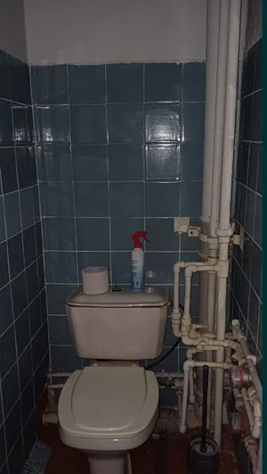 Фото 2 1-комн. квартира в Сергилях