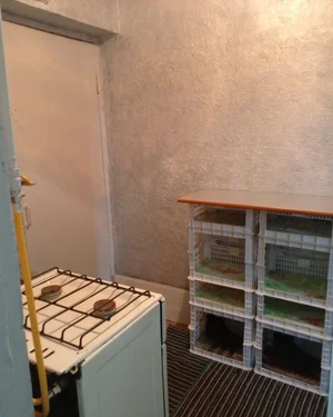 Фото 3 Квартира в Чилонзор