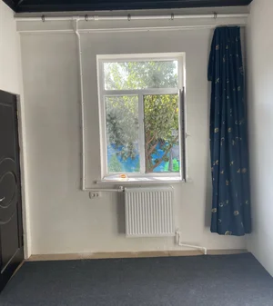 Фото 4 Яшил хонада ижарага берилган ҳовли жой