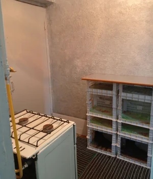 Фото 2 Квартира в Целий