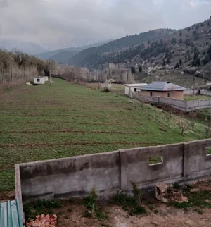 Фото 2 Дом в Целий