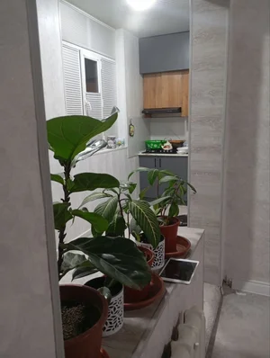 Фото 3 Квартира в Чилонзарском районе