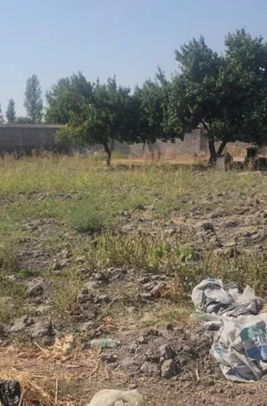 Фото 2 Участок в Тўйтепа