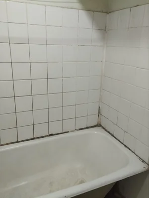 Фото 7 Квартира в Ойла