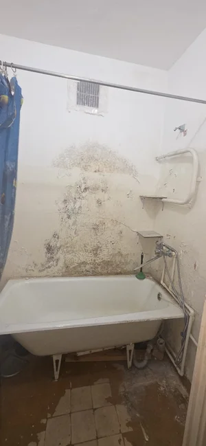 Фото 5 1-комн. квартира в Алгоритм