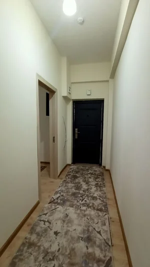 Фото 1 1-комн. квартира в Навостиройке