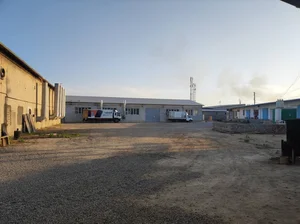 Фото 1 Участок в Янгиюле