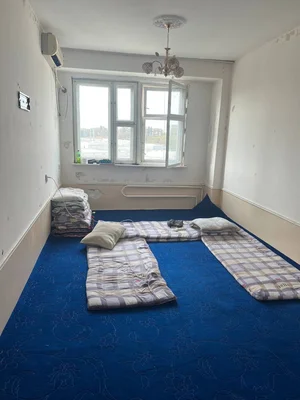 Фото 1 Не указано