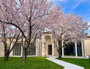 Фото 6 Дом в Кибрайском районе