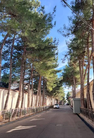 Фото 7 Дом в Кибрайском районе