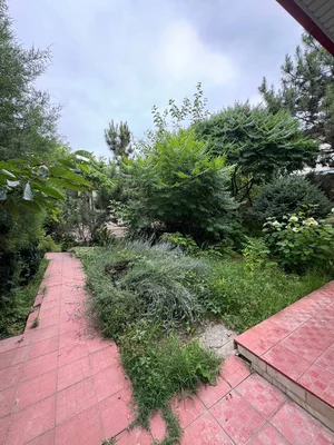 Фото 3 Участок в Кибрайском районе