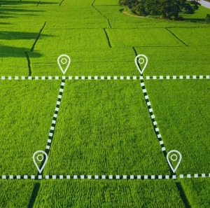 Фото 1 Участок в Бостанлыкском районе