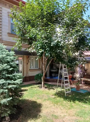 Фото 6 Дом в Якасарае