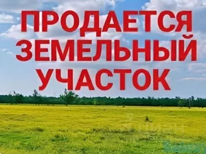 Фото 1 Участок в Чапаната