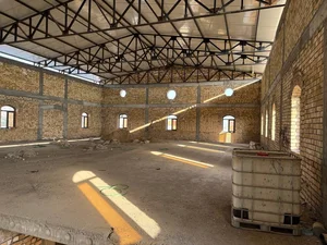 Фото 4 Здание в 1 Линия Райцентра